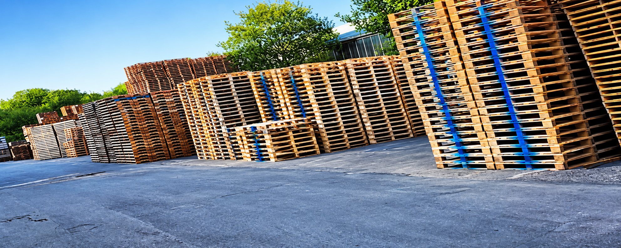 Our pallet yard Our pallet yard